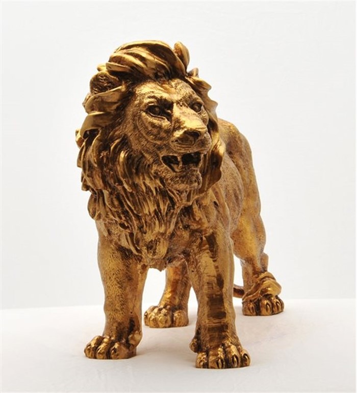 Aslan Gold Biblo