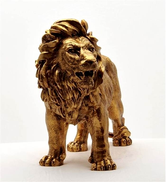 Aslan Gold Biblo